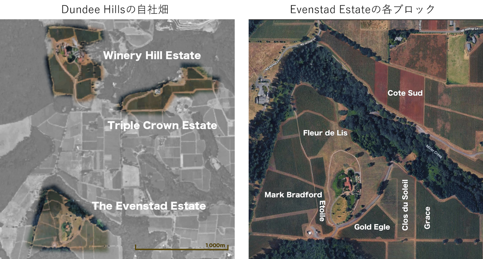 ドメーヌ セリーヌDomaine Serene : ワイナリー情報 : オルカ