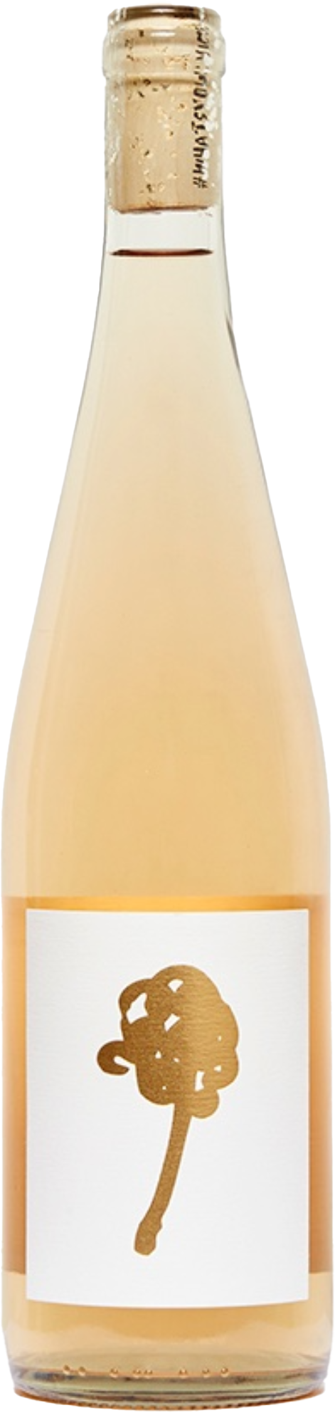 The Vice Orange of Gewurztraminer Batch #223 