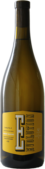 ソーコル ブロッサー エヴォリューション ホワイト ラッキーナンバー9